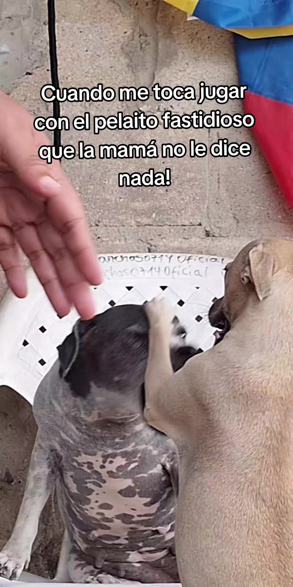 @MANCHAS 0714 OFICIAL