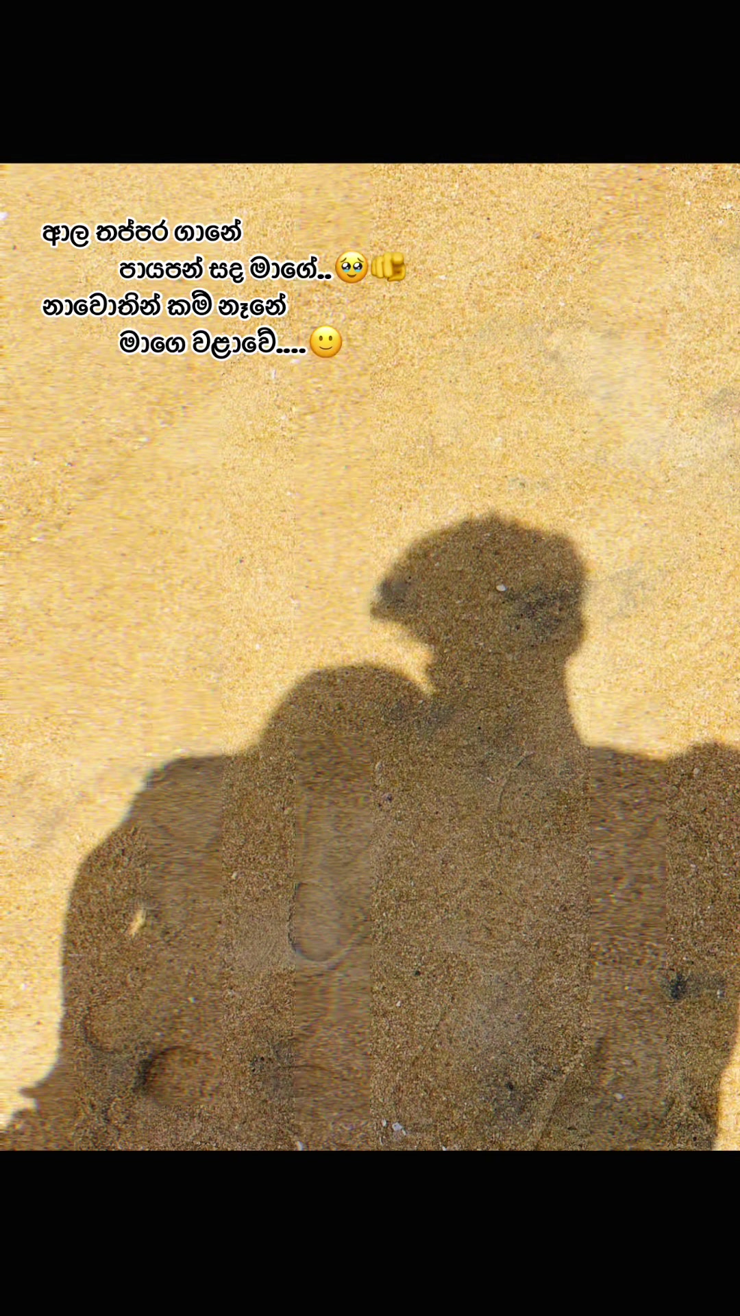 @Ashinsala Vihansa