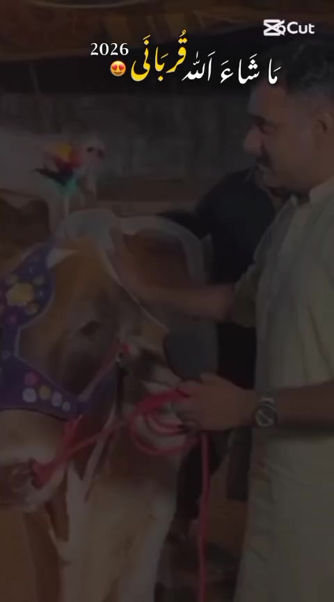 @Shahzad Raja