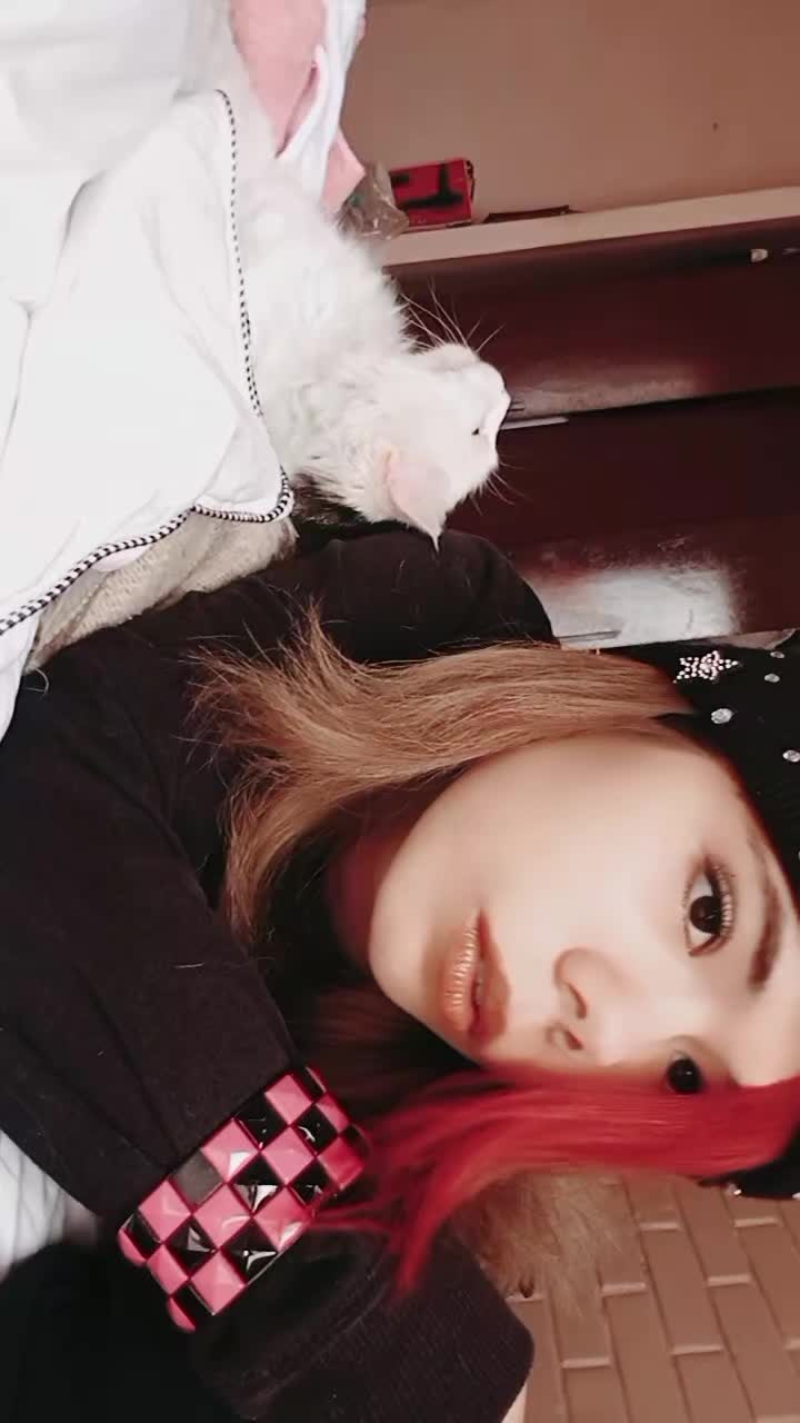 @LA GATA๐โฌ