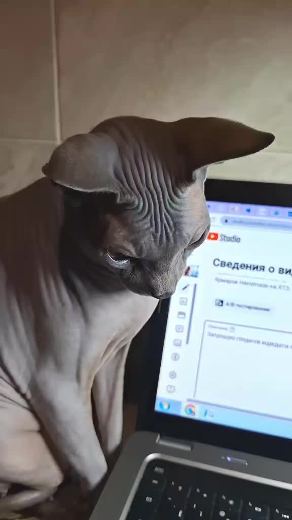 @Прогулки по Харькову