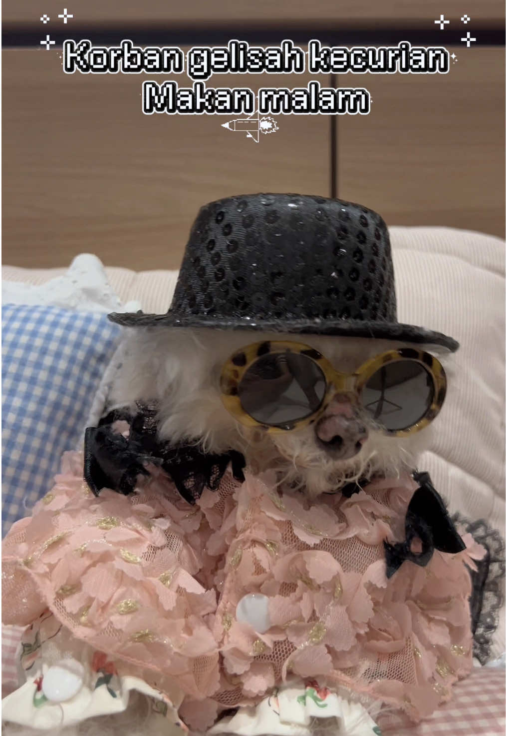 @Jiro and the poodle gang