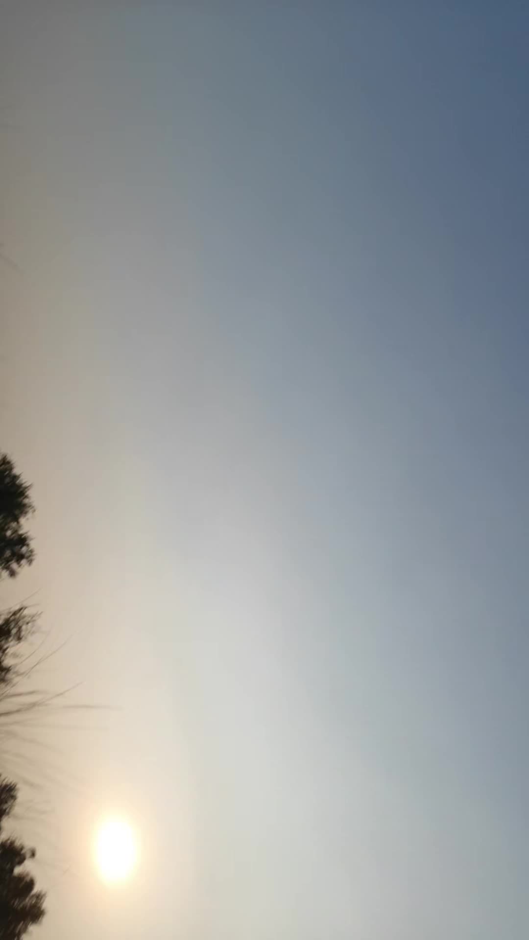 @Neer_chy.01