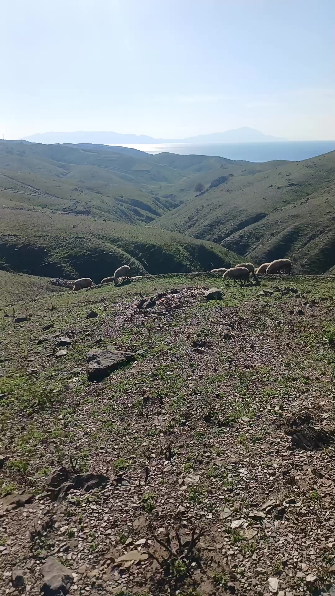 @AHMET ŞENTÜRK