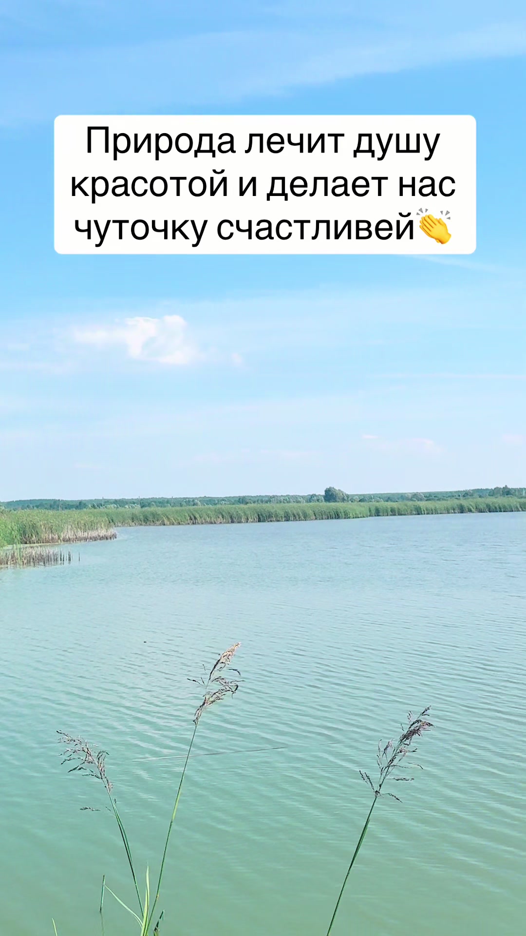 @_volodya21_
