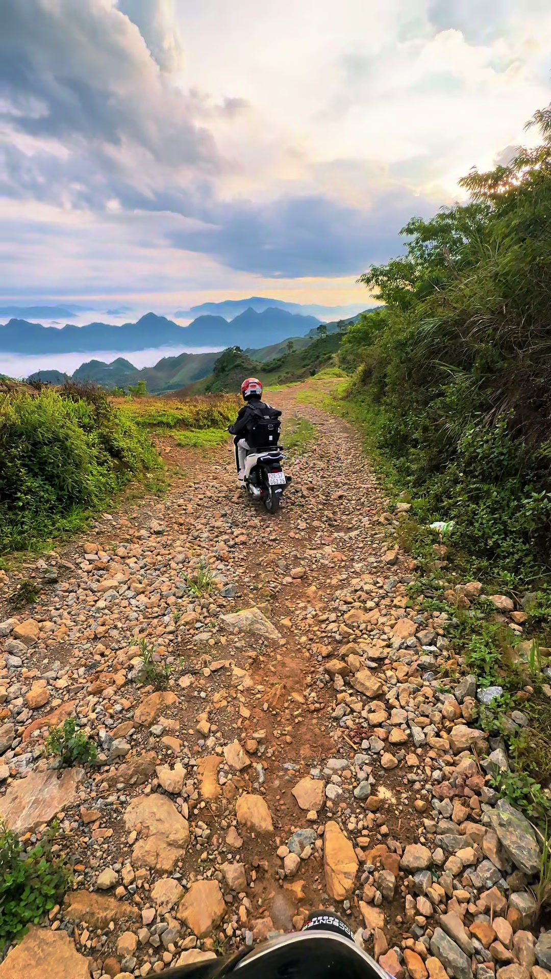 @Mây Lang Thang 🇻🇳