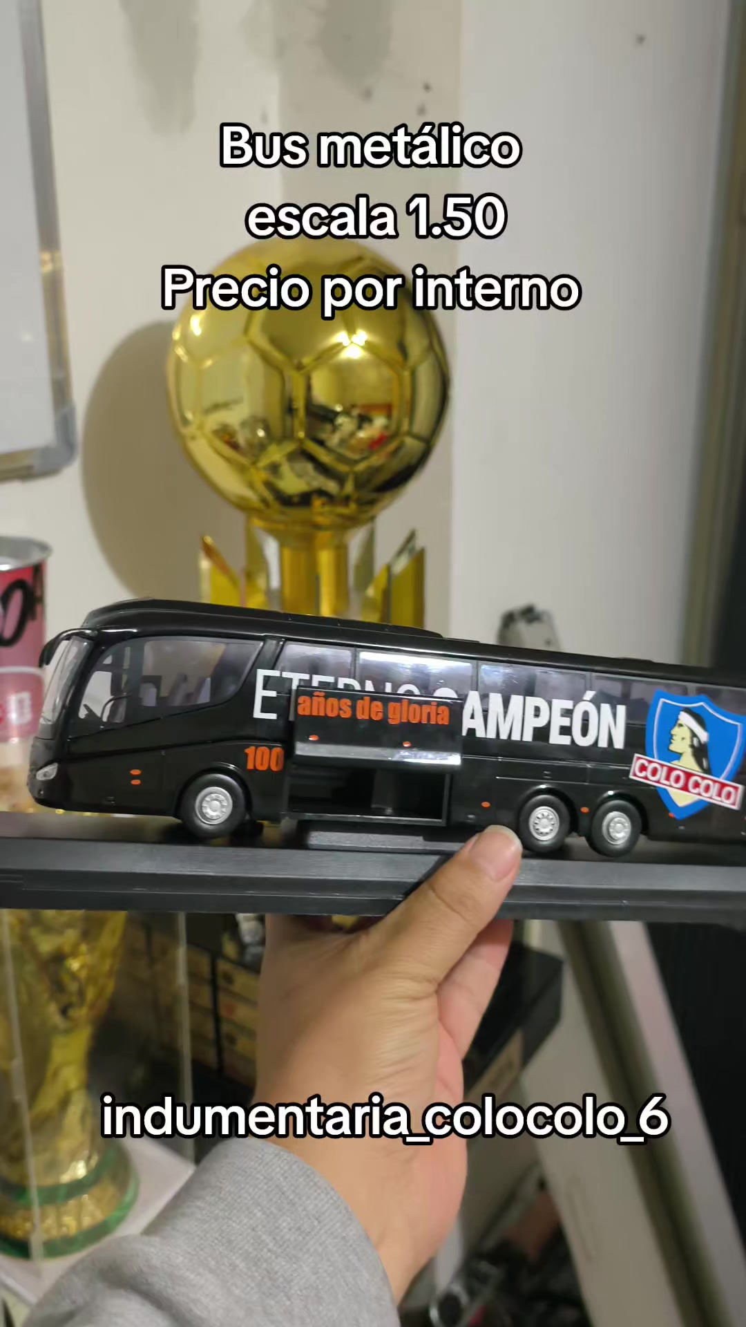 @indumentaria_colocolo_6