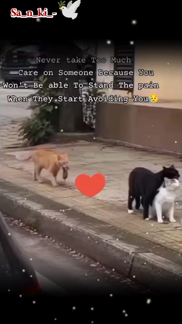 @👉_S_❤️
