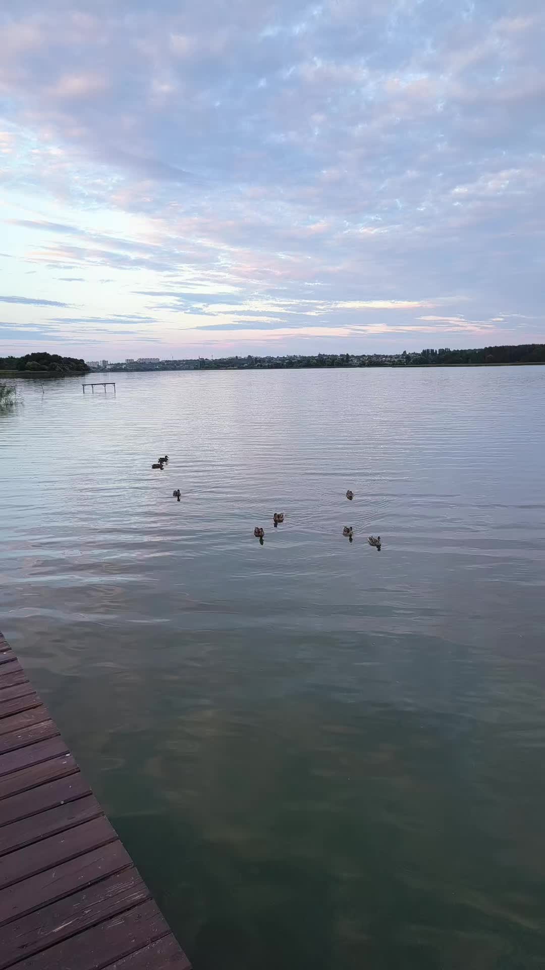 @_bondarchuk_
