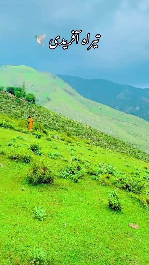 @༄●⃝AFRIDI☯࿐