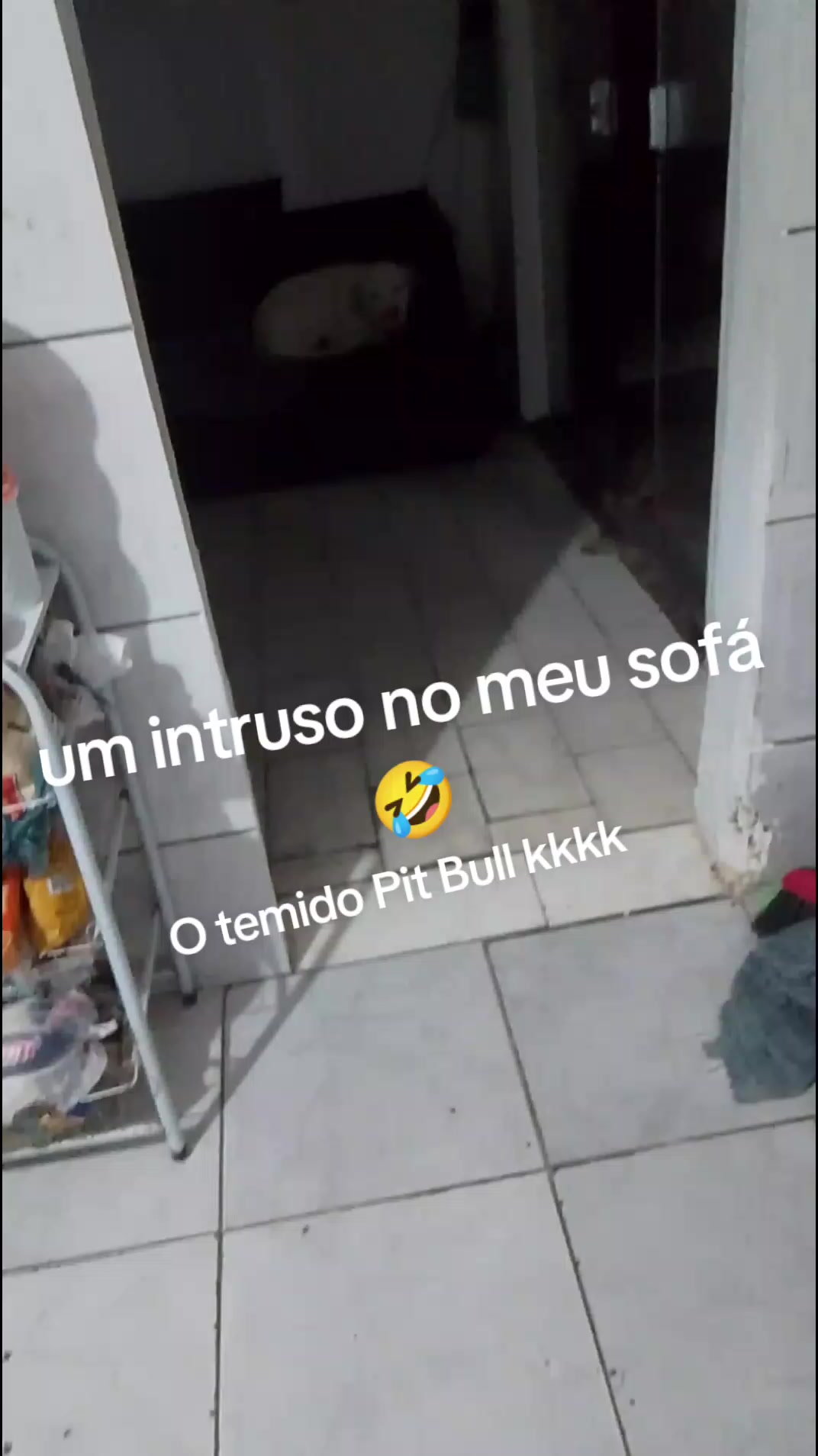 @Patricia Lima