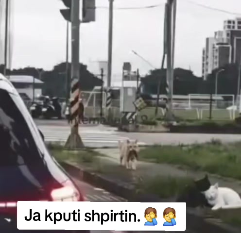 @Enko.04