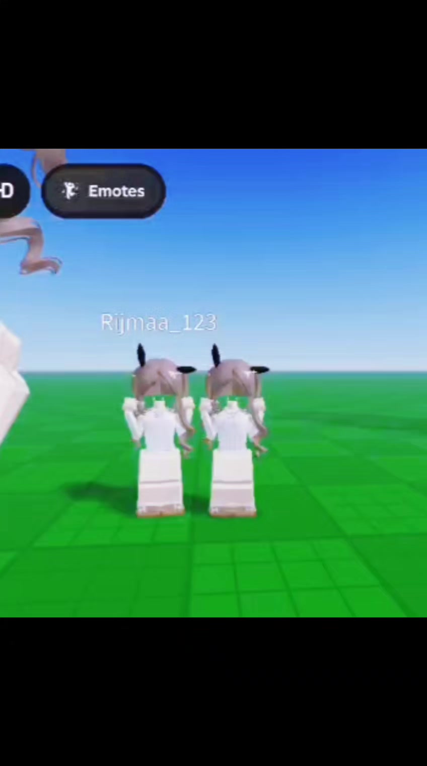 @Roblox_by_R2