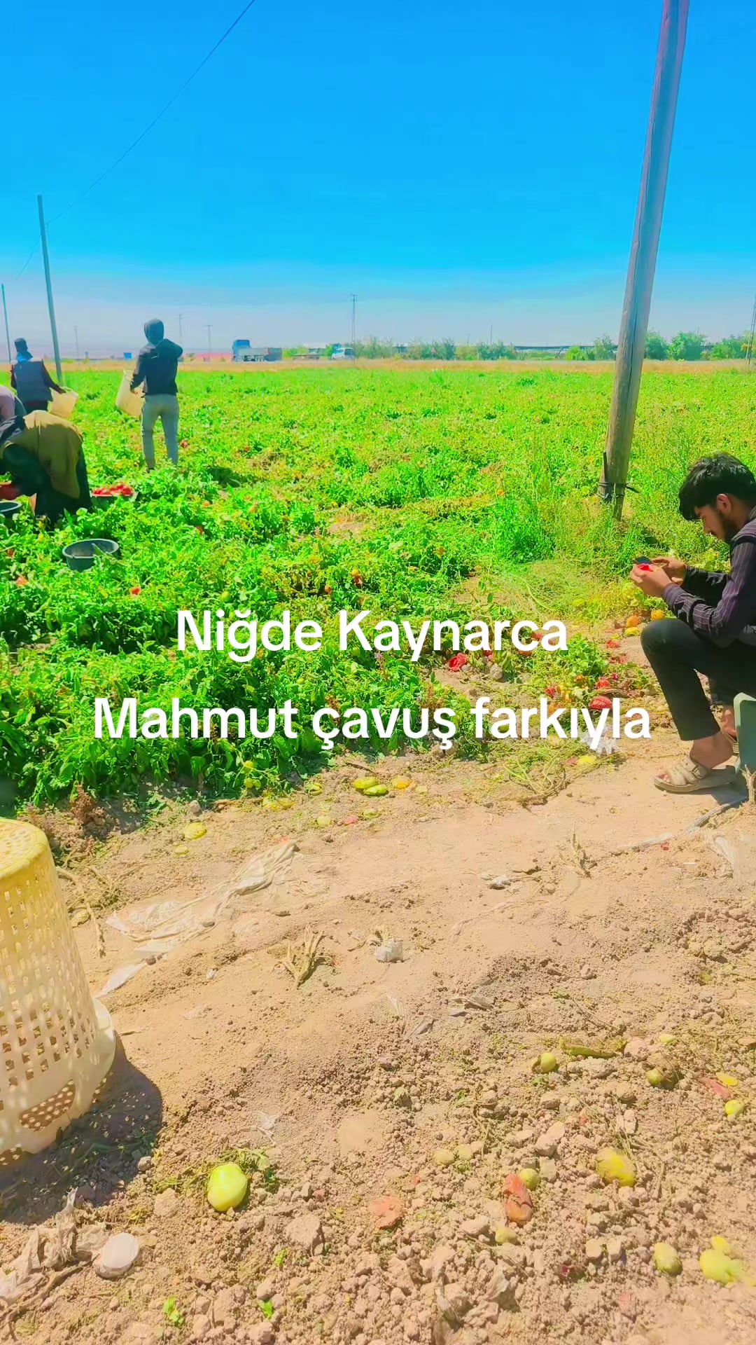 @mahmut çavuş