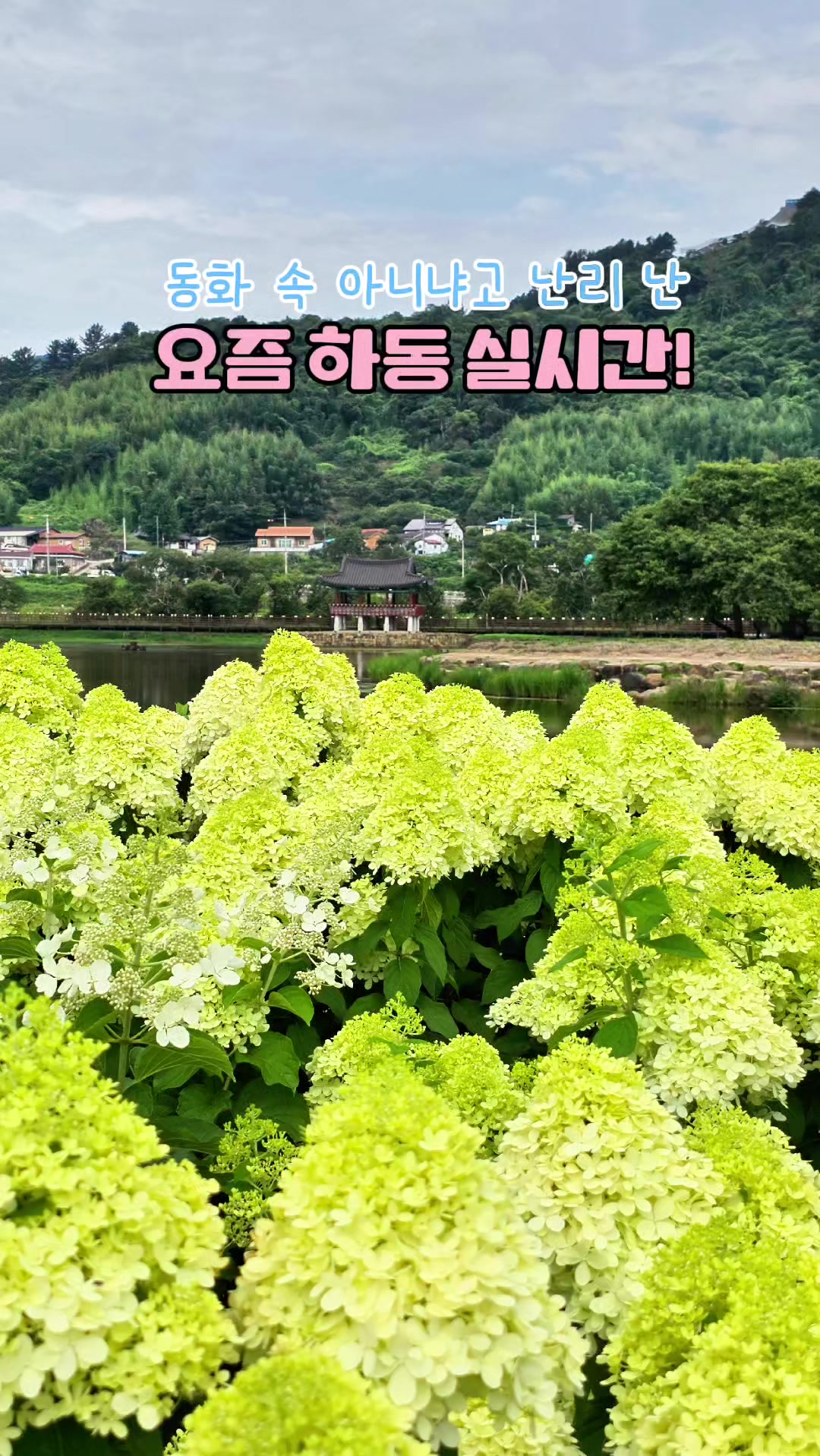 @ON로드 여행기