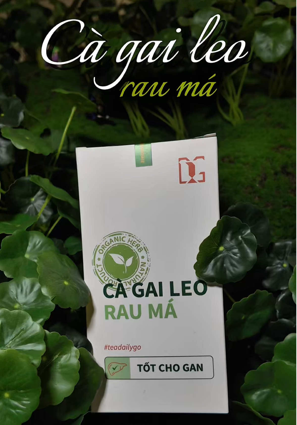 @Người đẹp đang bận ✨