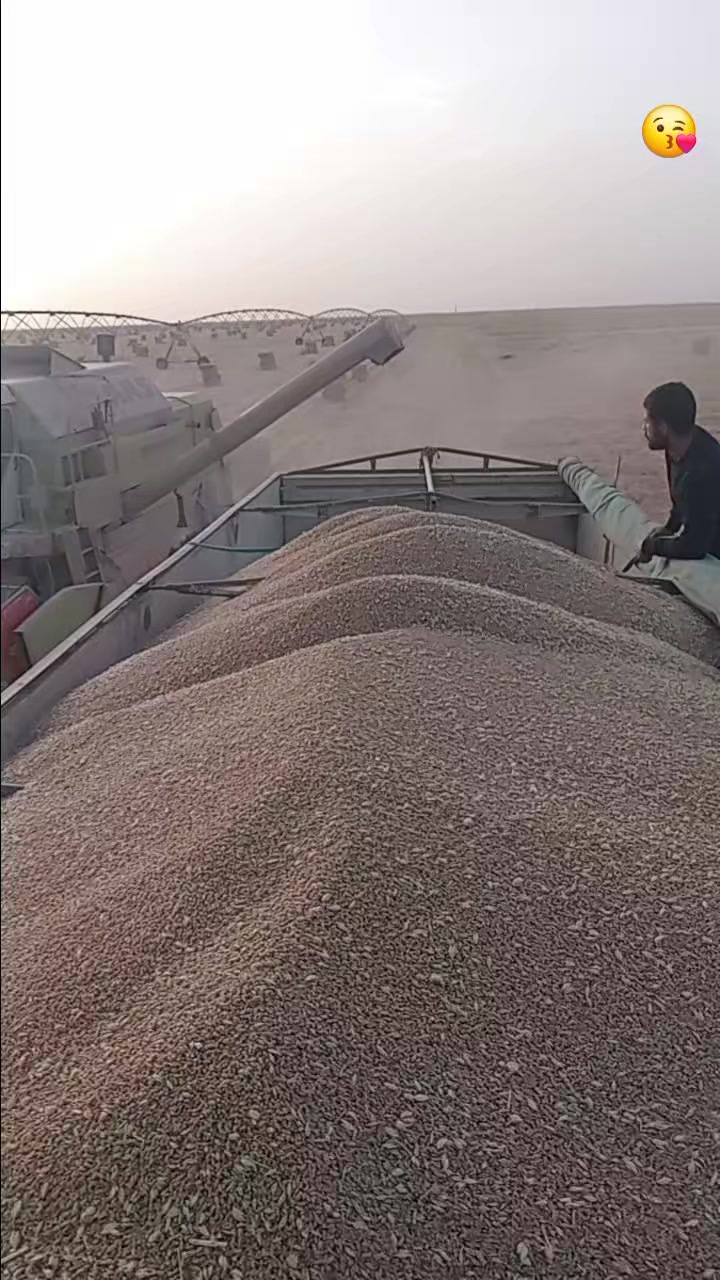 @Aziz saida 20