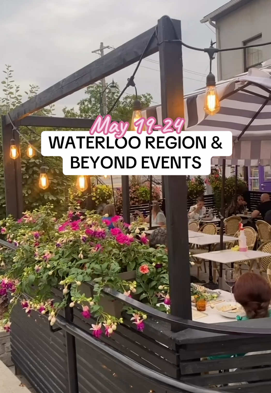 @CuratedKW | Food, Events & Fun