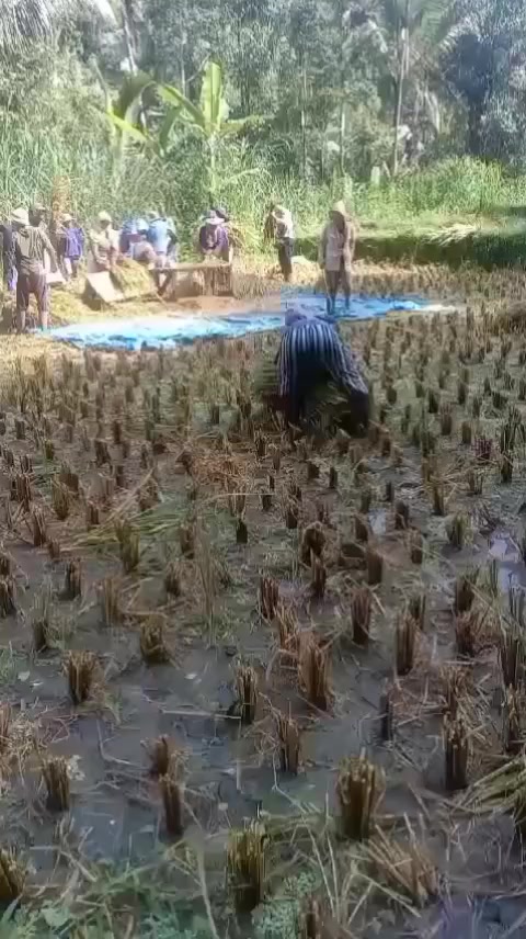 @pejuangrupiah 7654