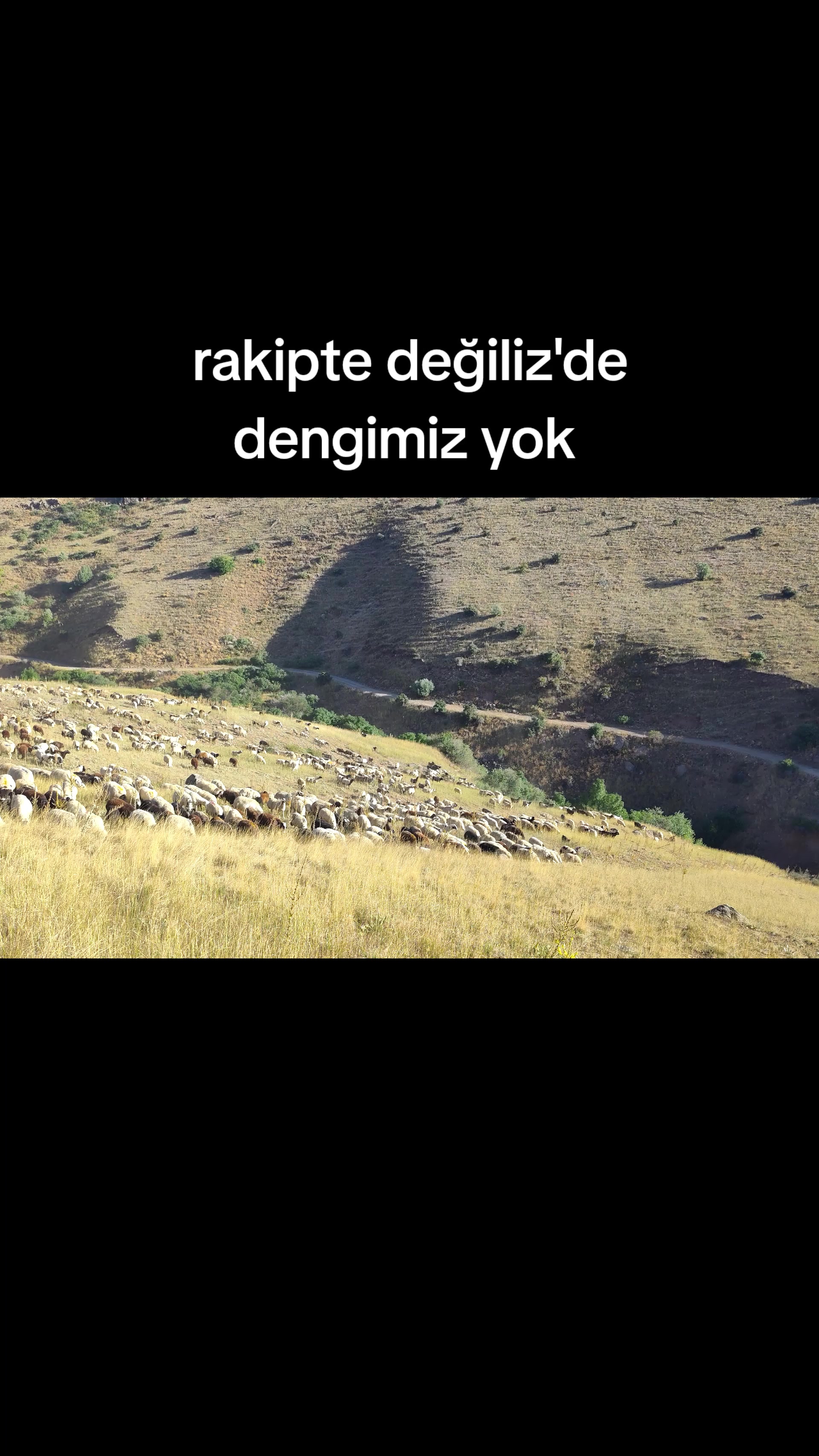 @Emrah Karapınar