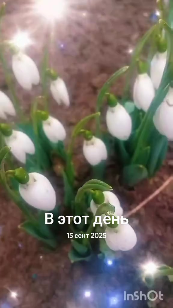 @Галіна