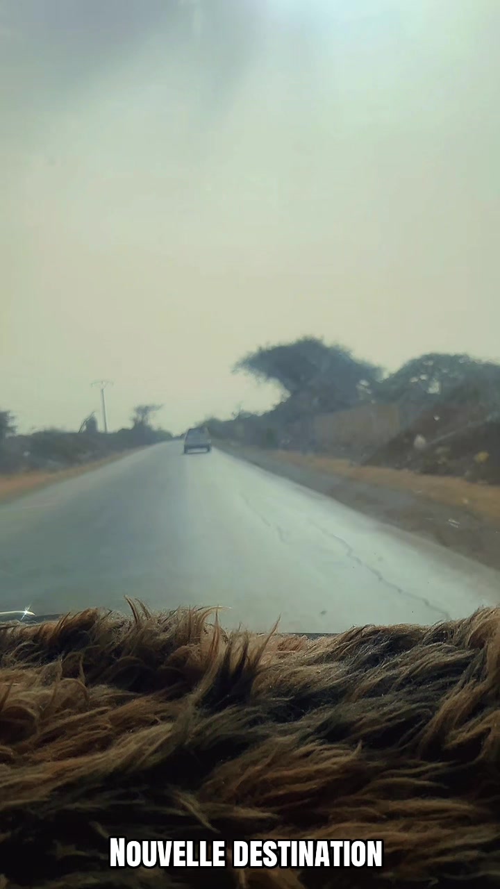 @Sénégal dakar habitat 🇸🇳