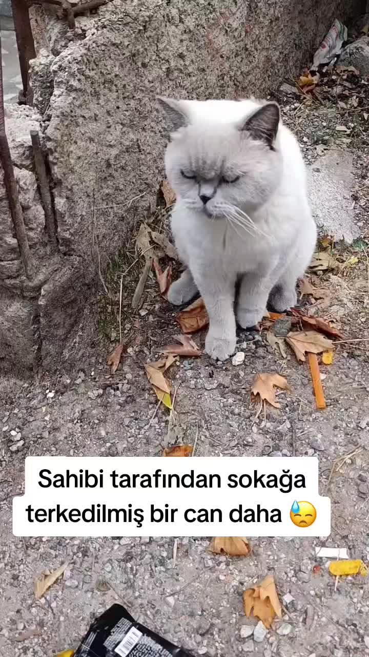 @MUSTAFA38