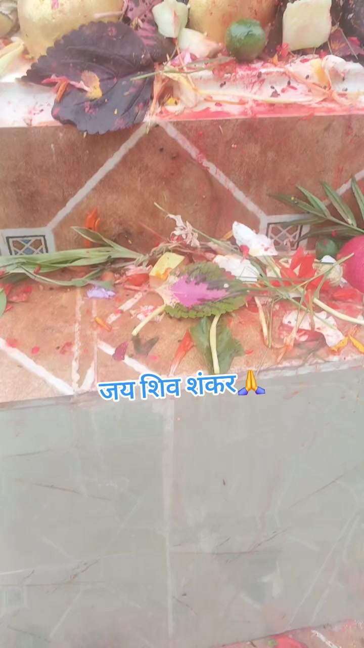 @laxmi thapa
