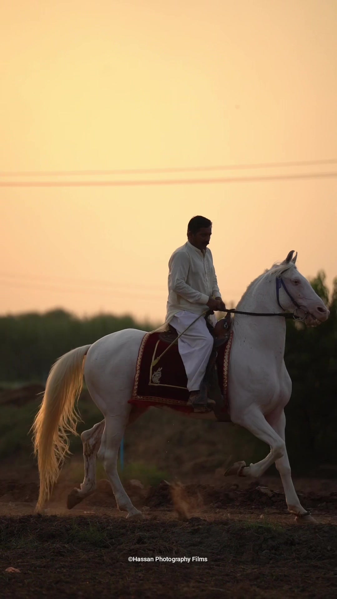 @SUNRISE STUD FARMS RAWALPINDI