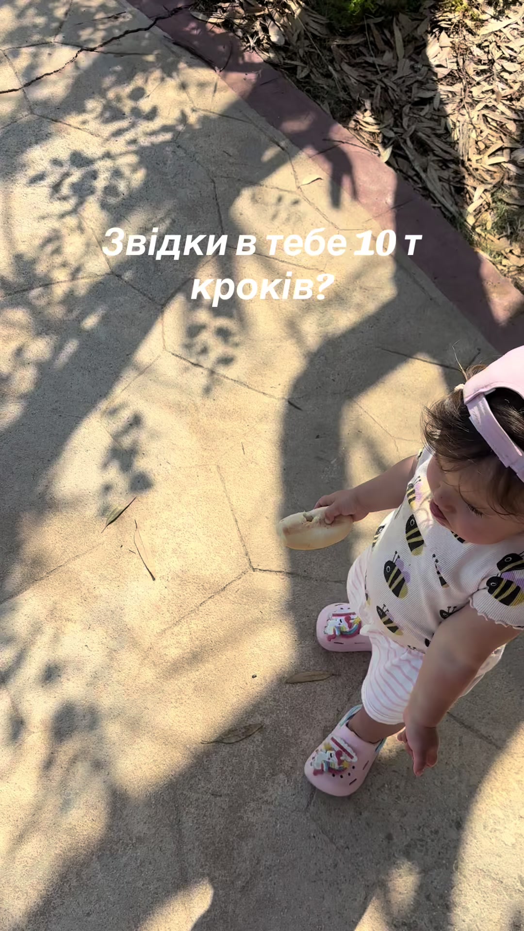 @dinochkadin