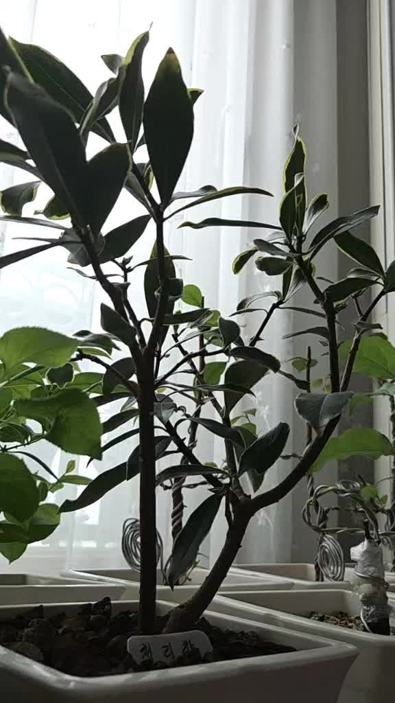 @법무사