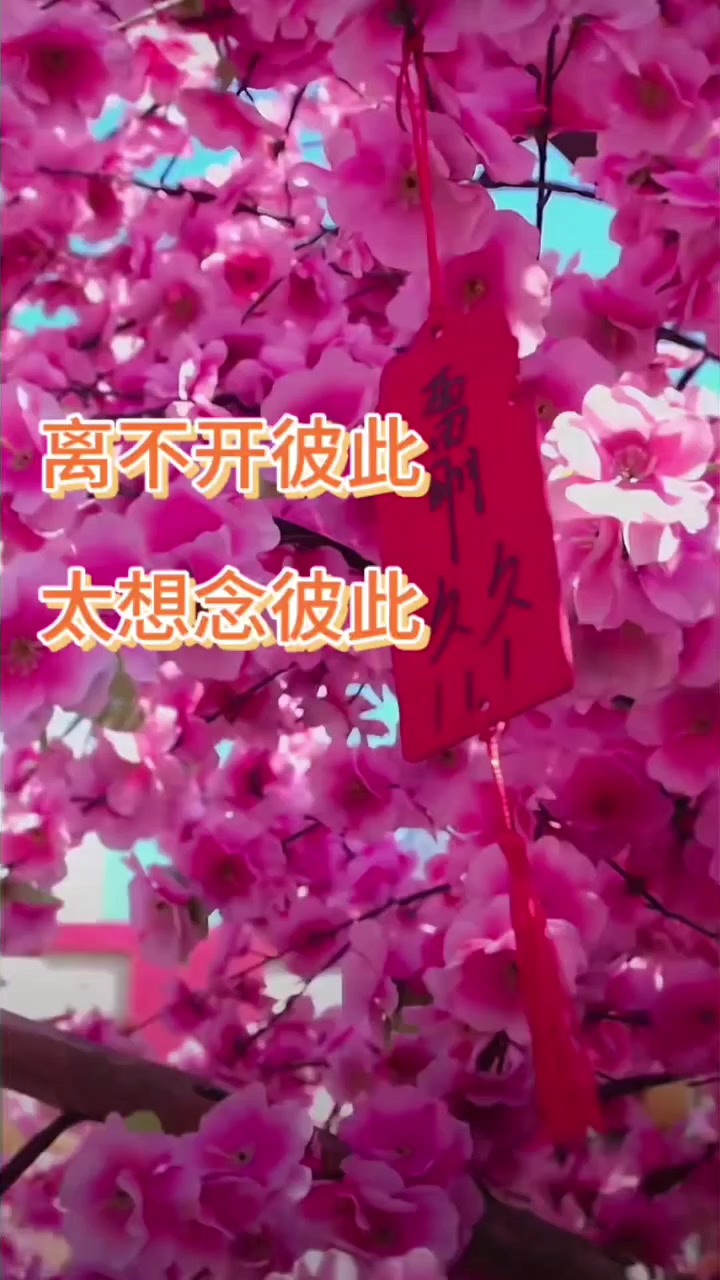 @๐Mimi Tz๐( โก๐๐ฝ)