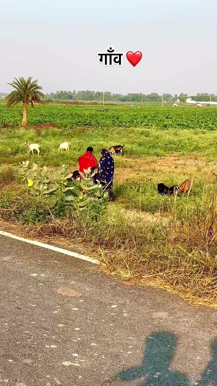 @𝐁𝐈𝐒𝐇𝐍𝐔 𝐃𝐄𝐕