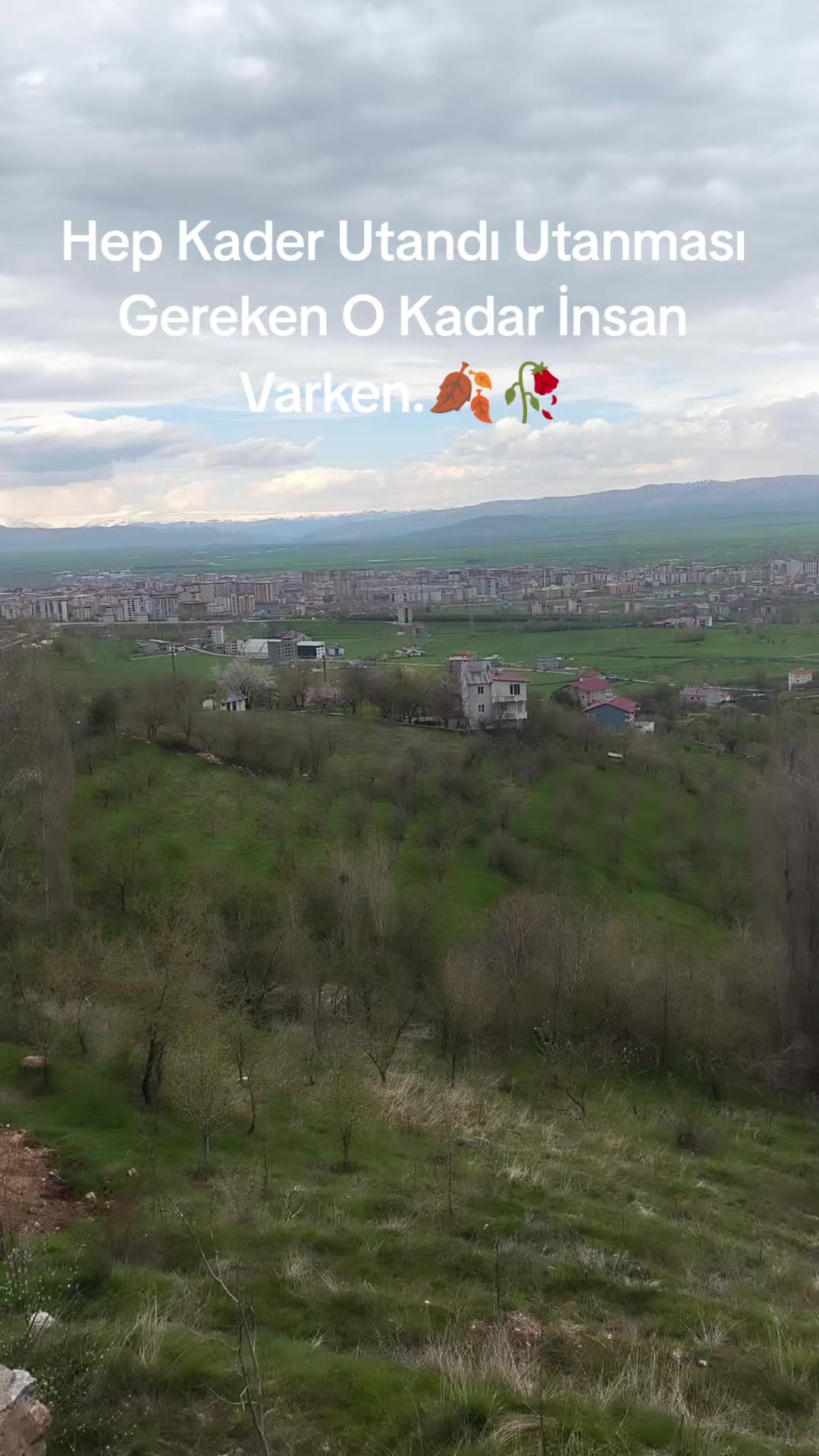 @kalpteki yara🥀🥀