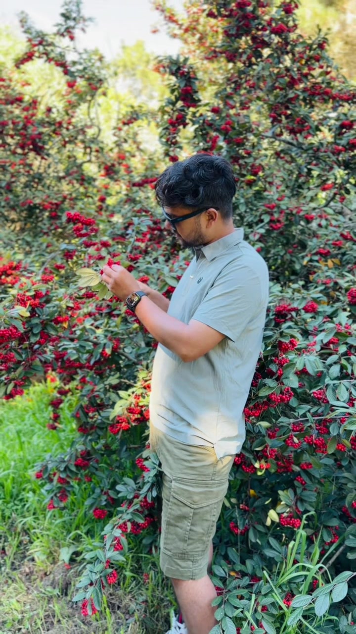 @Dambar🇳🇵🇺🇸🕉️