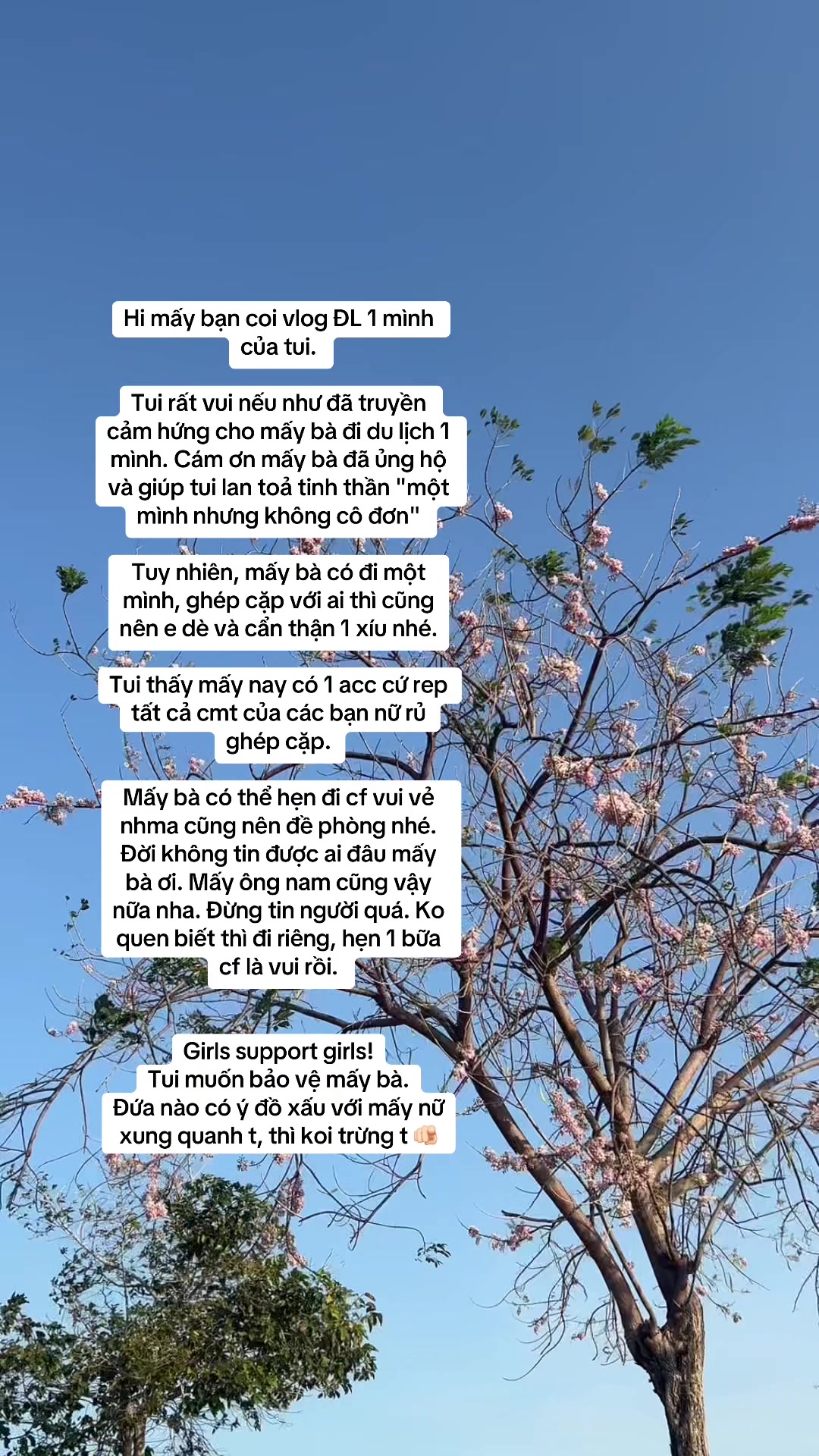 @Con mèo mê cơm tấm ⚜️