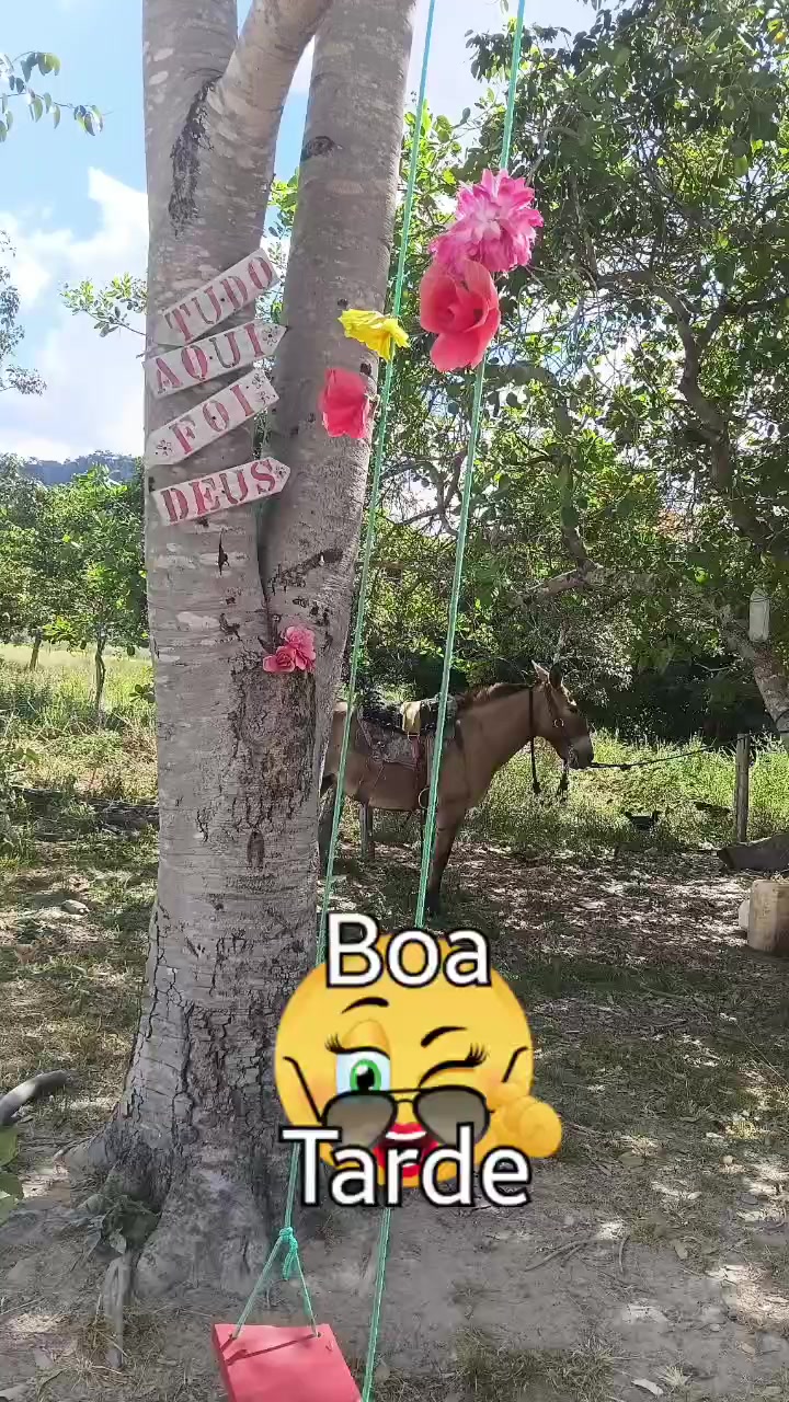 @Cris Sousa