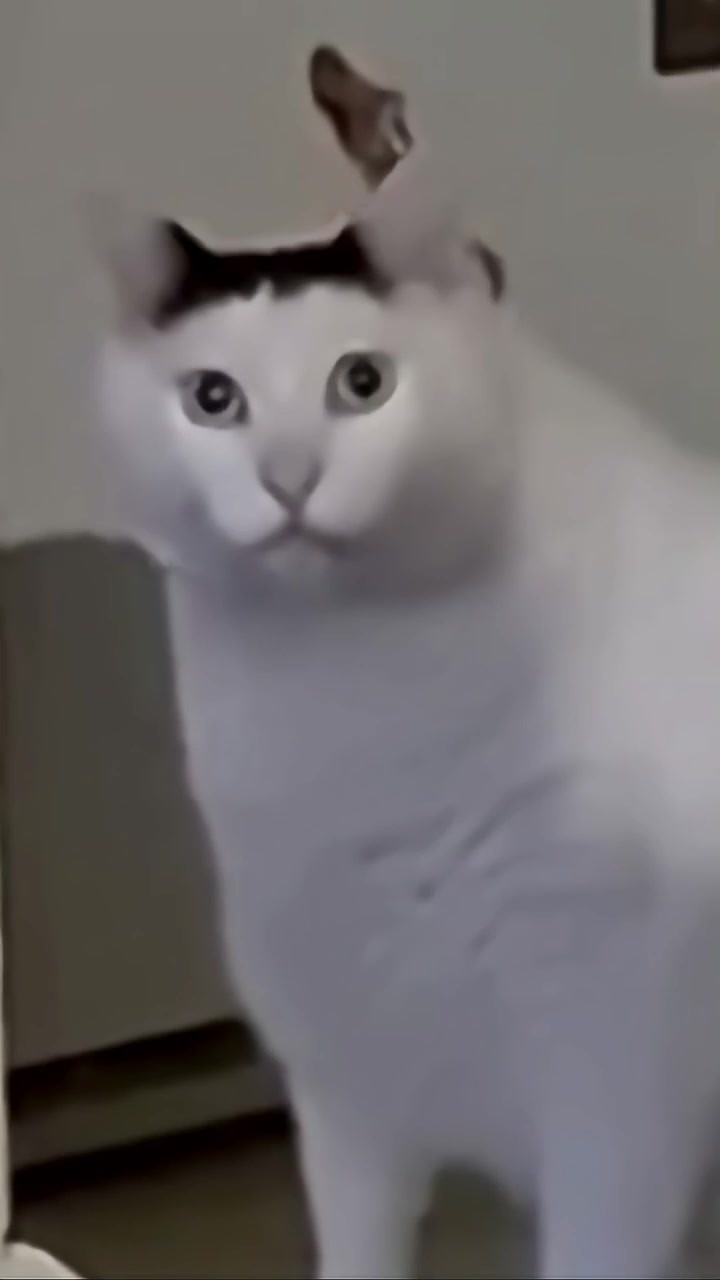 @PWR