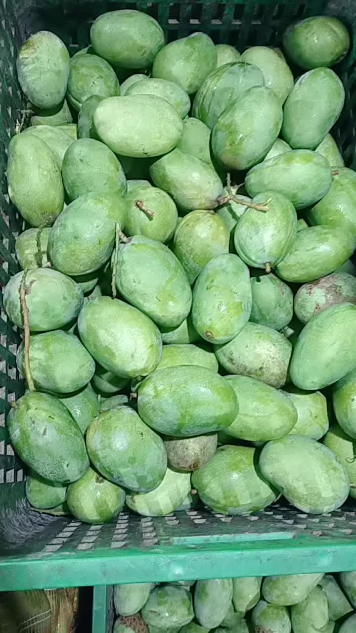 @Hs Sayur