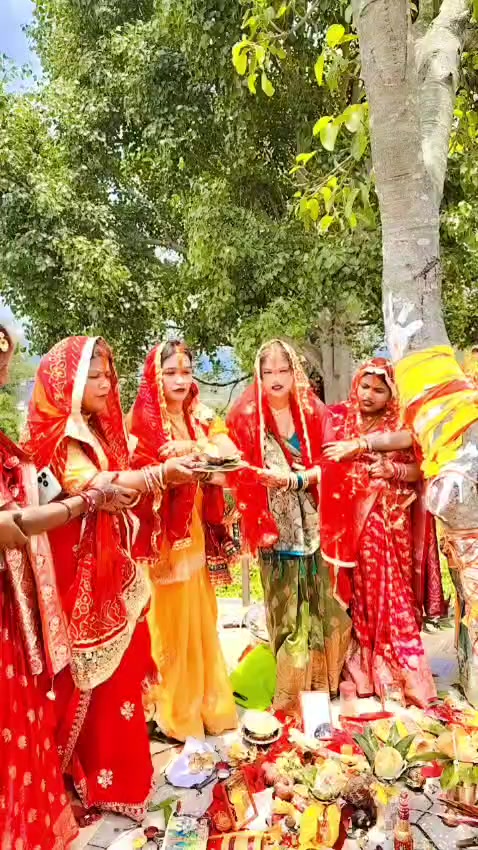@Rekha Gami