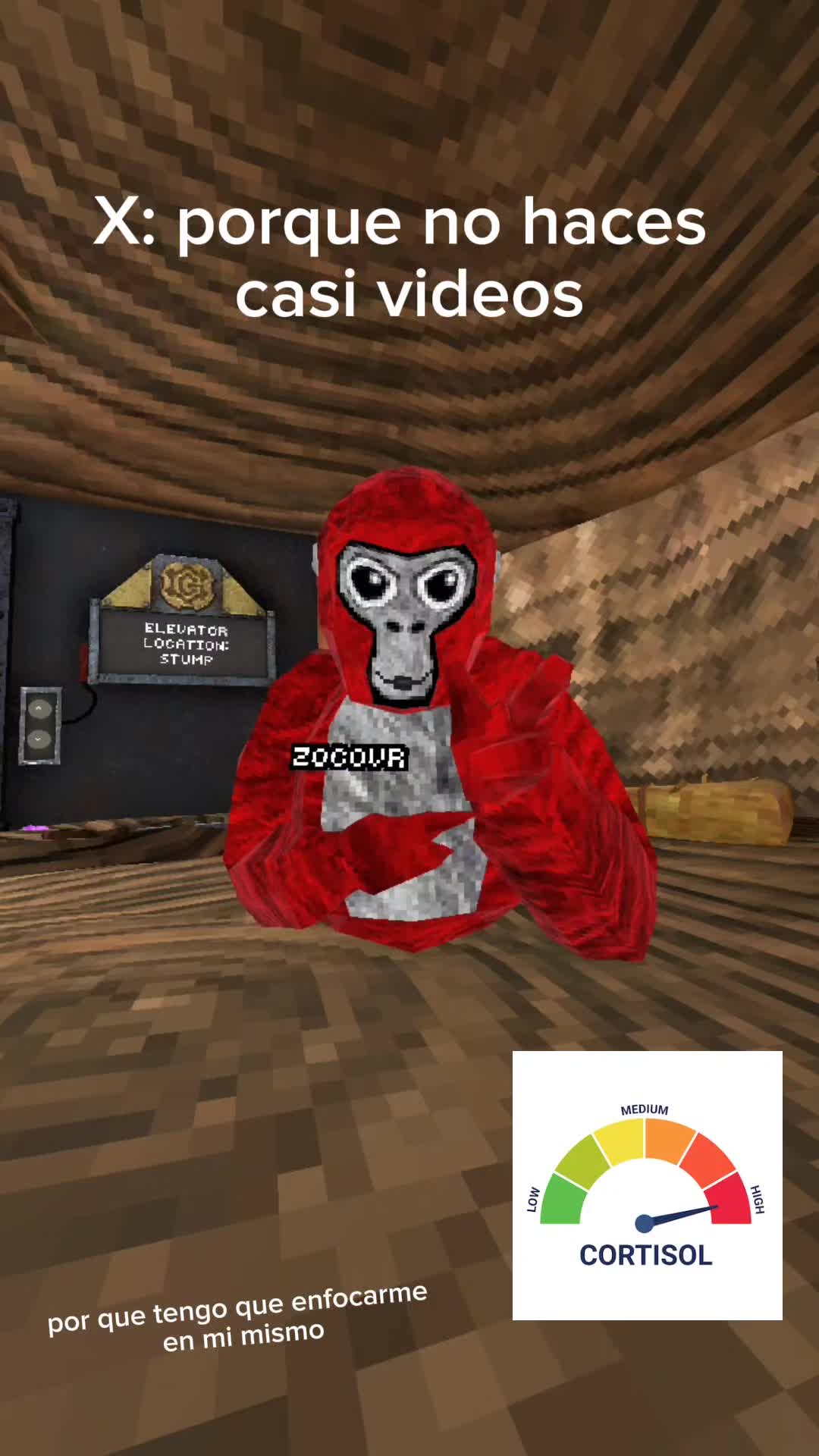 @ZocoVR
