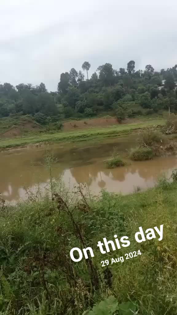 @kamrankashmirkamr