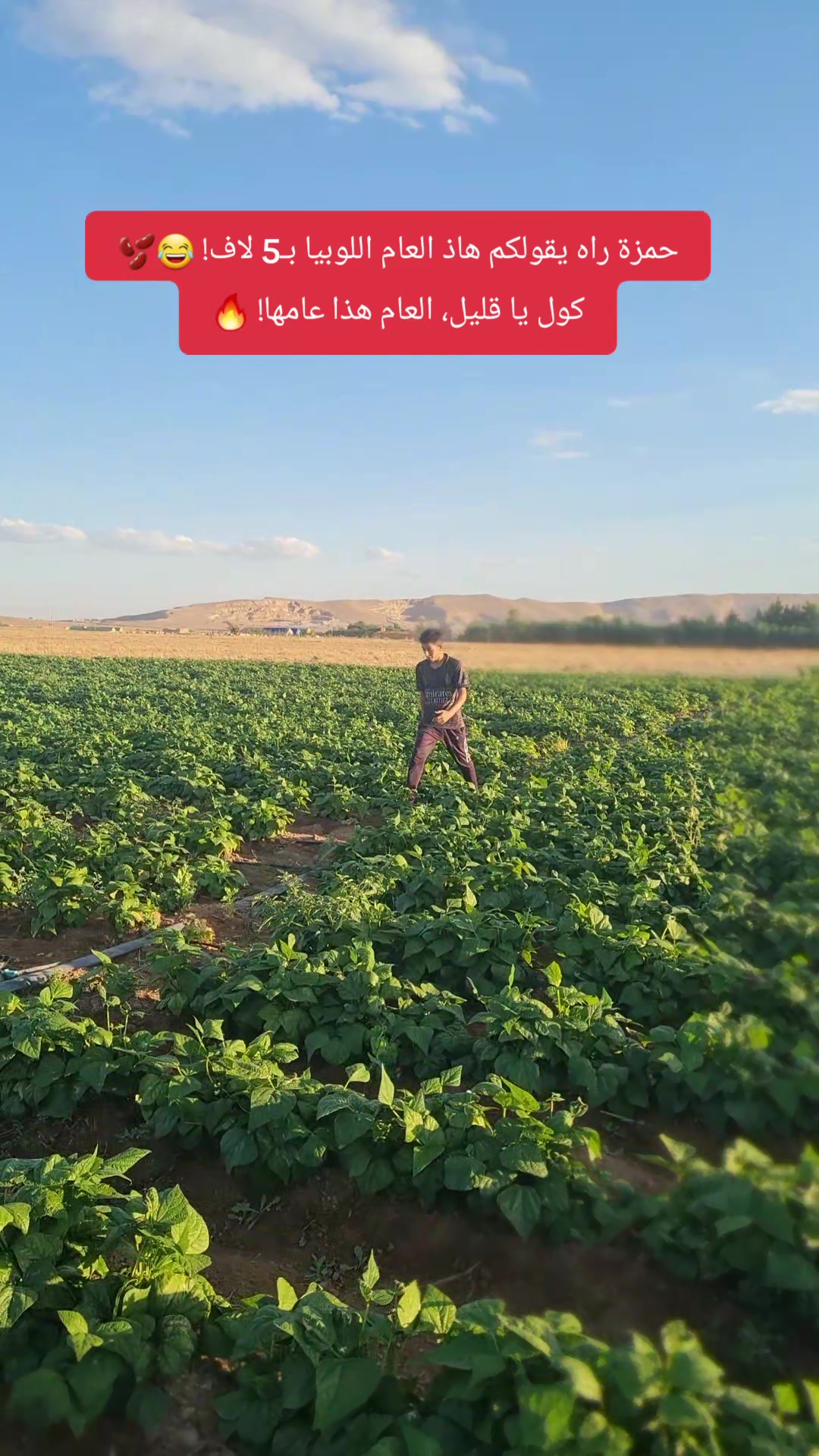 @🦅إمبراطور الرشايقة 🧅