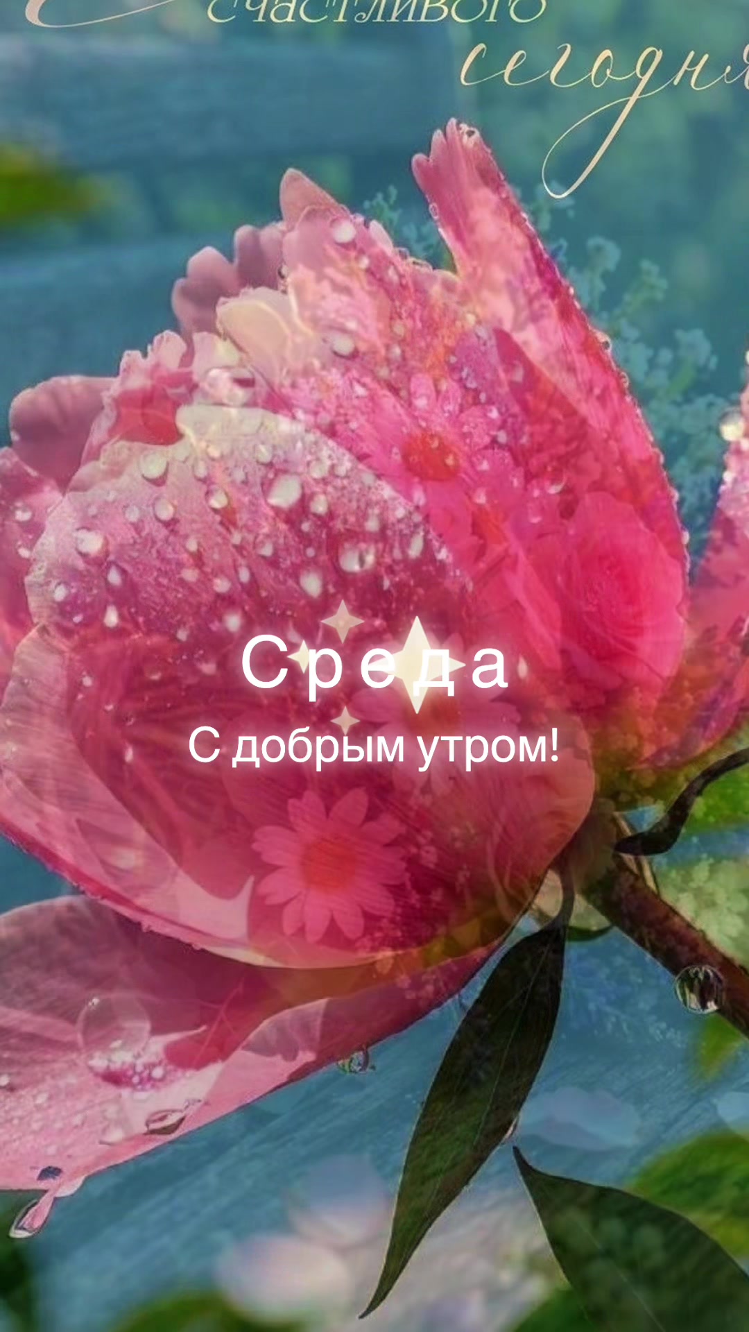 @Файруза Ковалинская