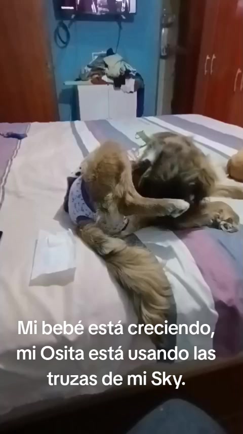 @Sky e Igor 01