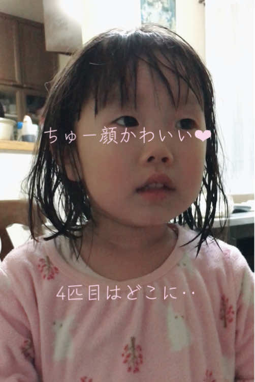 @❤︎サングラス❤︎