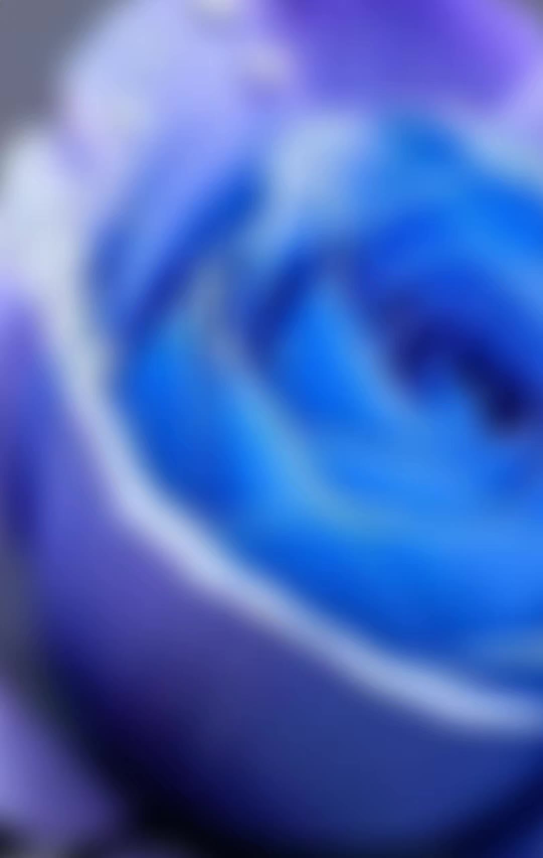 @dhakalbhujel789