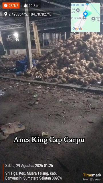 @Anes_King_cap_garpu