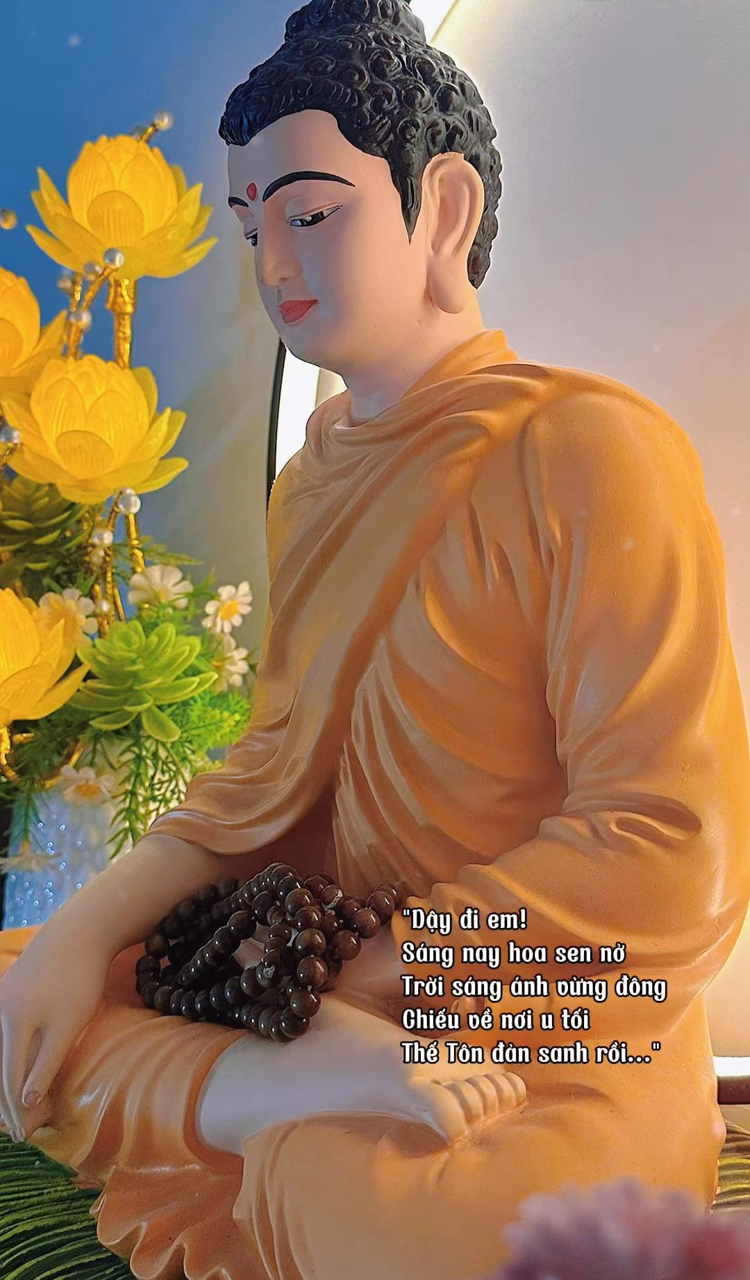 @Mỵ Ch&acirc;u