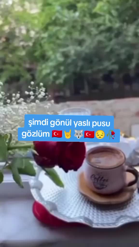 @Asena 1453